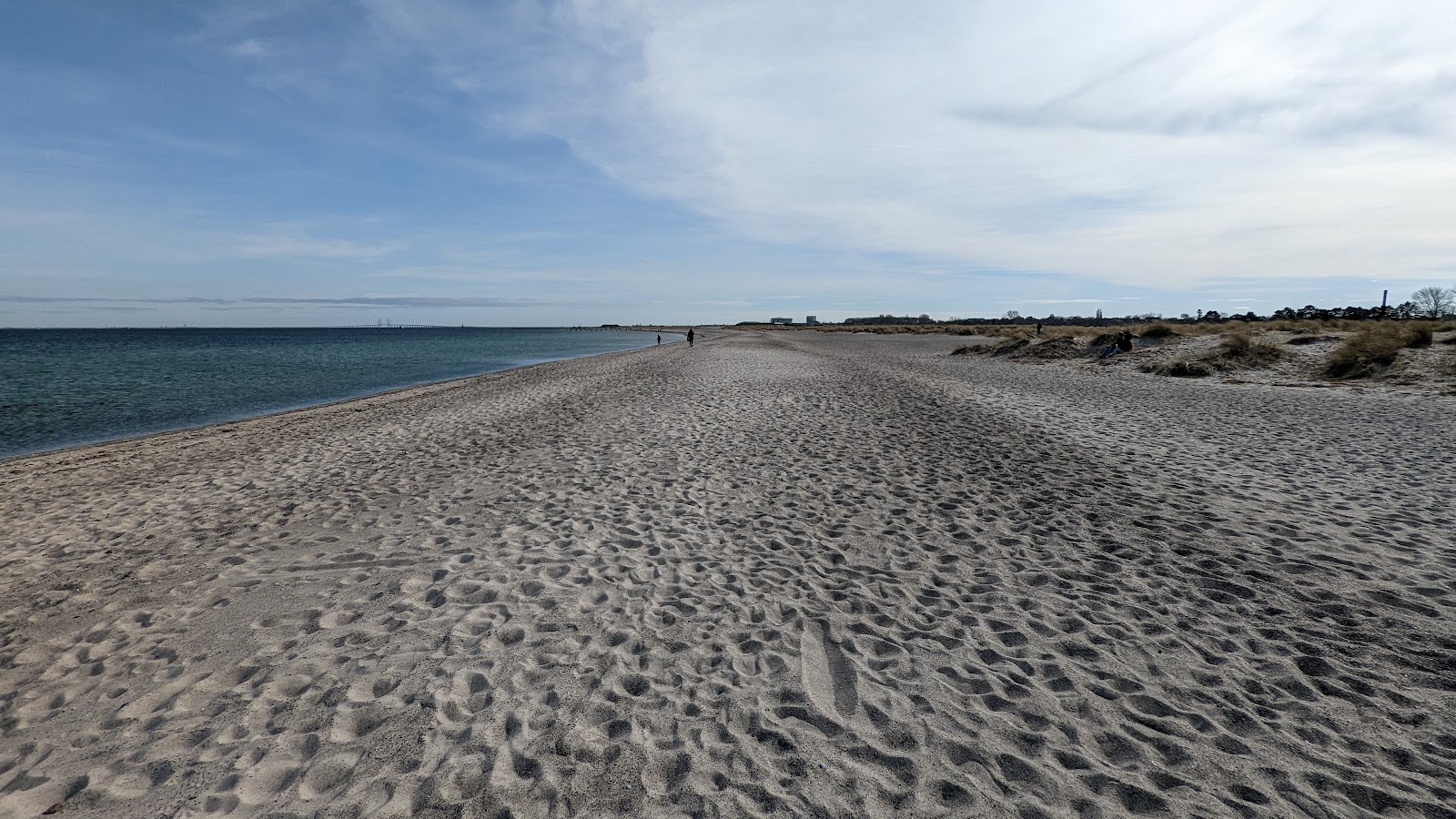 Amager Beach photo #7
