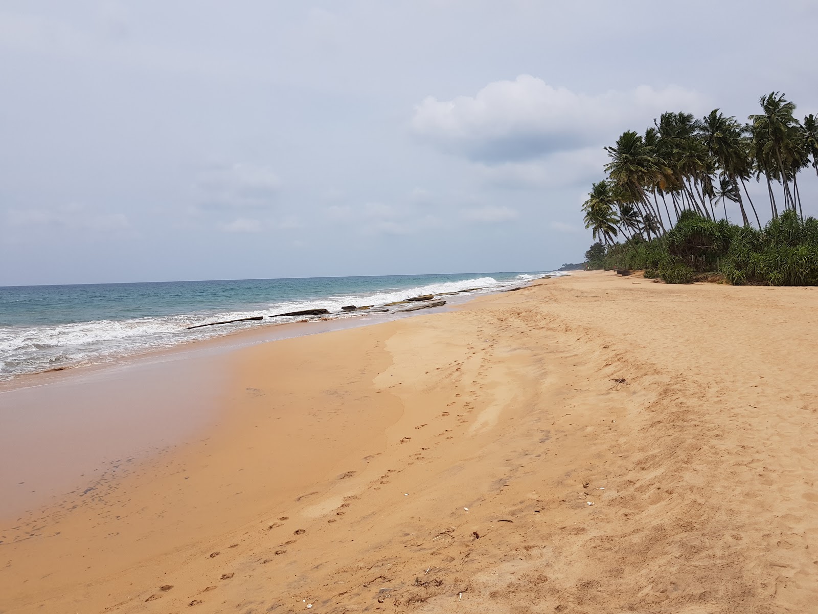 Zdjęcie Kosgoda Beach z poziomem czystości wysoki