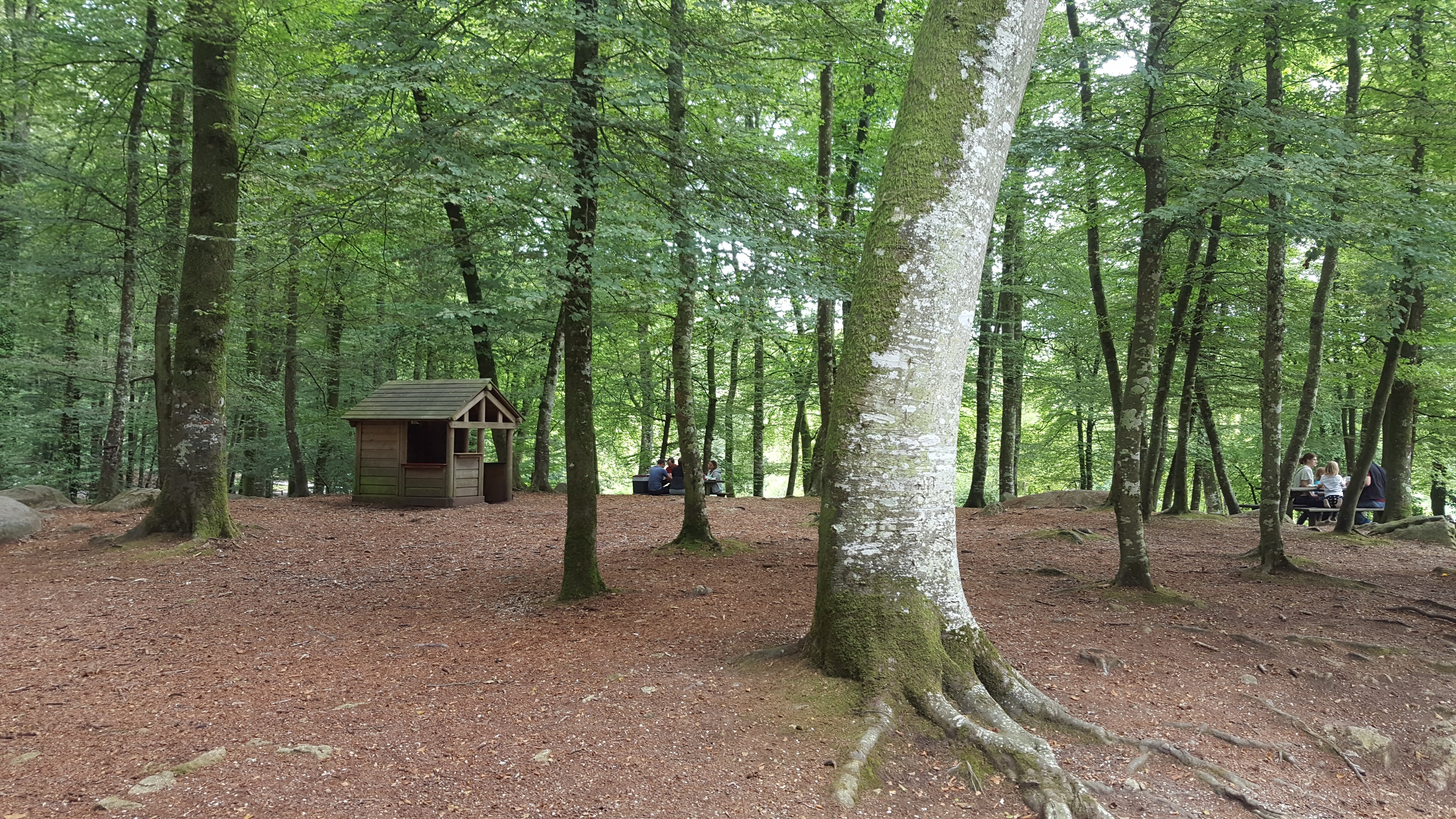 Photo n° 6 de l'avis de Jé.a fait le 16/08/2018 à 15:56