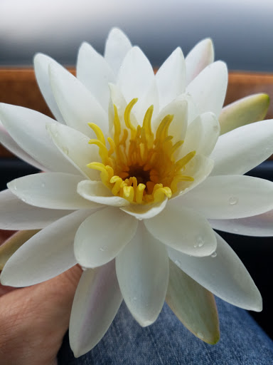 Pet Supply Store «Petco Animal Supplies», reviews and photos, 35 Davis Straits Road, Falmouth, MA 02540, USA