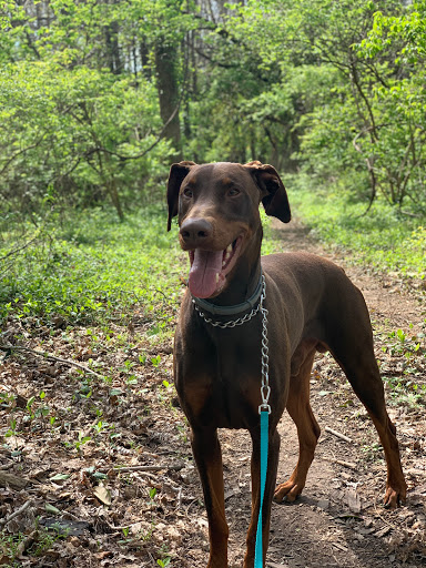 Pet Supply Store «PetSmart», reviews and photos, 8281 Troy Pike, Huber Heights, OH 45424, USA