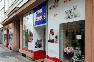 Zoo Bohouš image