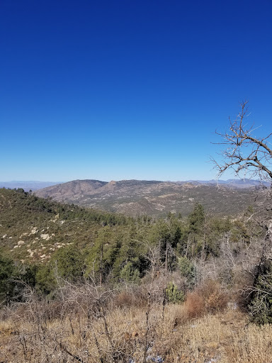 Movie Theater «Harkins Theatres Superstition Springs 25», reviews and photos, 6950 E Superstition Springs Blvd, Mesa, AZ 85209, USA