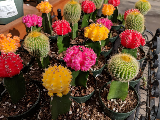 Hardware Store «Orchard Supply Hardware», reviews and photos, 18060 Chatsworth St, Granada Hills, CA 91344, USA