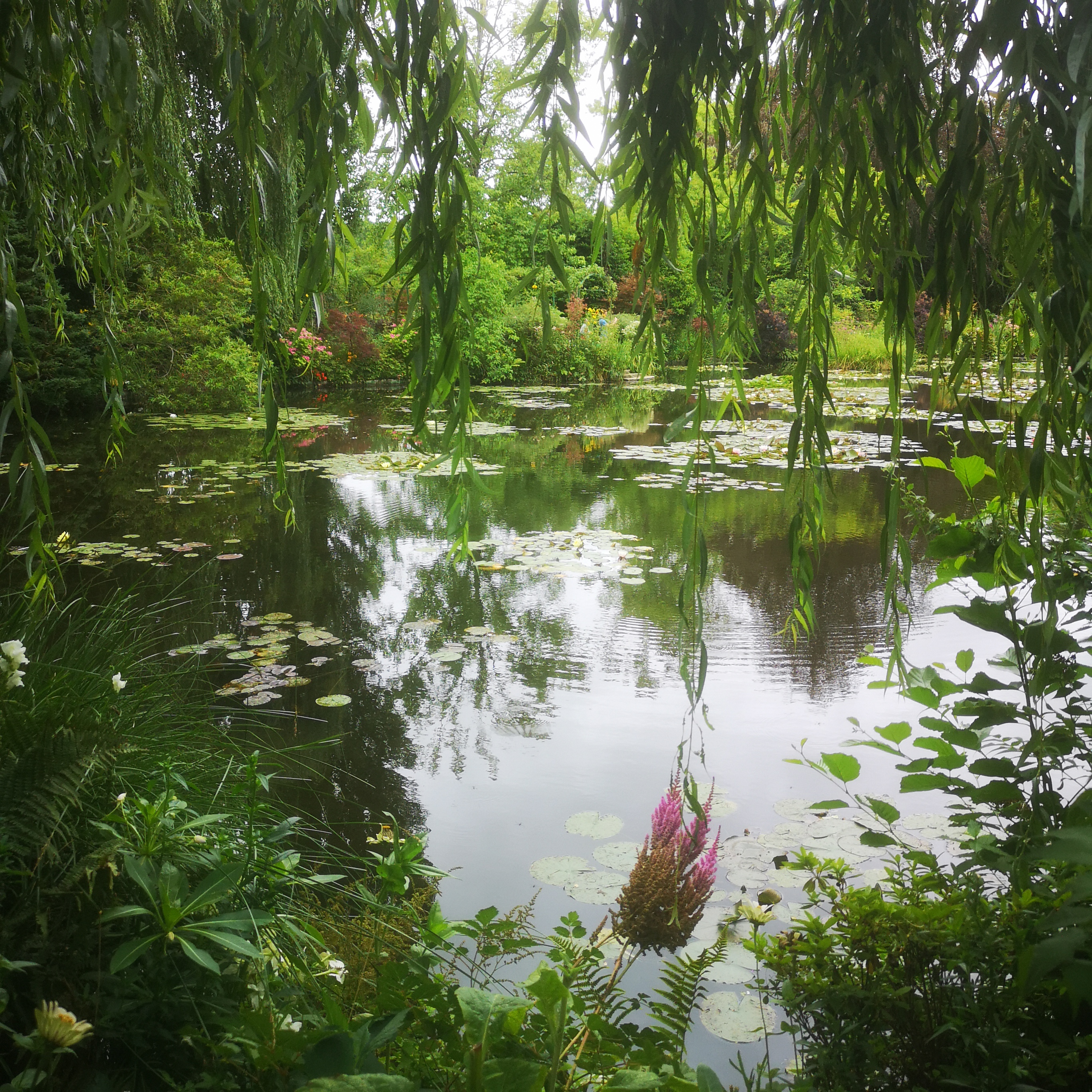 Photo n° 1 de l'avis de Oli.r fait le 28/07/2023 à 09:04