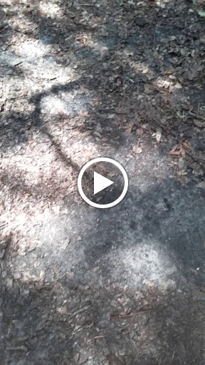 Park «North Water Tower Park», reviews and photos, 4700 Rilma Ave, Sarasota, FL 34234, USA