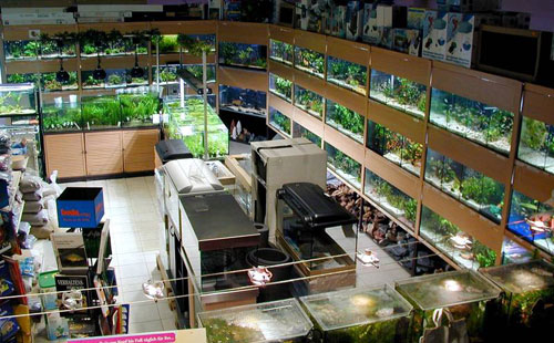 Schwaben Aquaristik unter Aulendorf, 