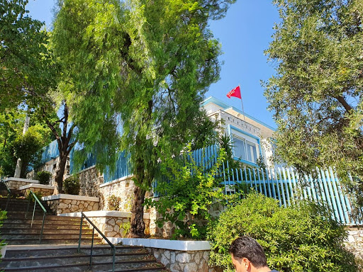 Embassy and Consulate of Tunisia
