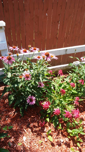 Drug Store «Walgreens», reviews and photos, 188 Union St, Vernon, CT 06066, USA