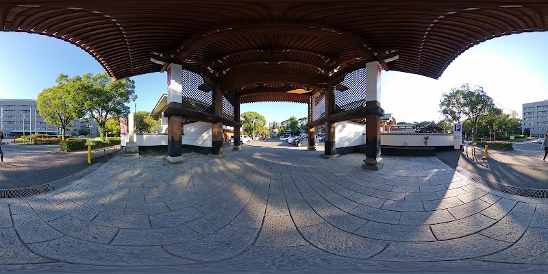 東公園 福岡県福岡市東公園 公園 公園 グルコミ