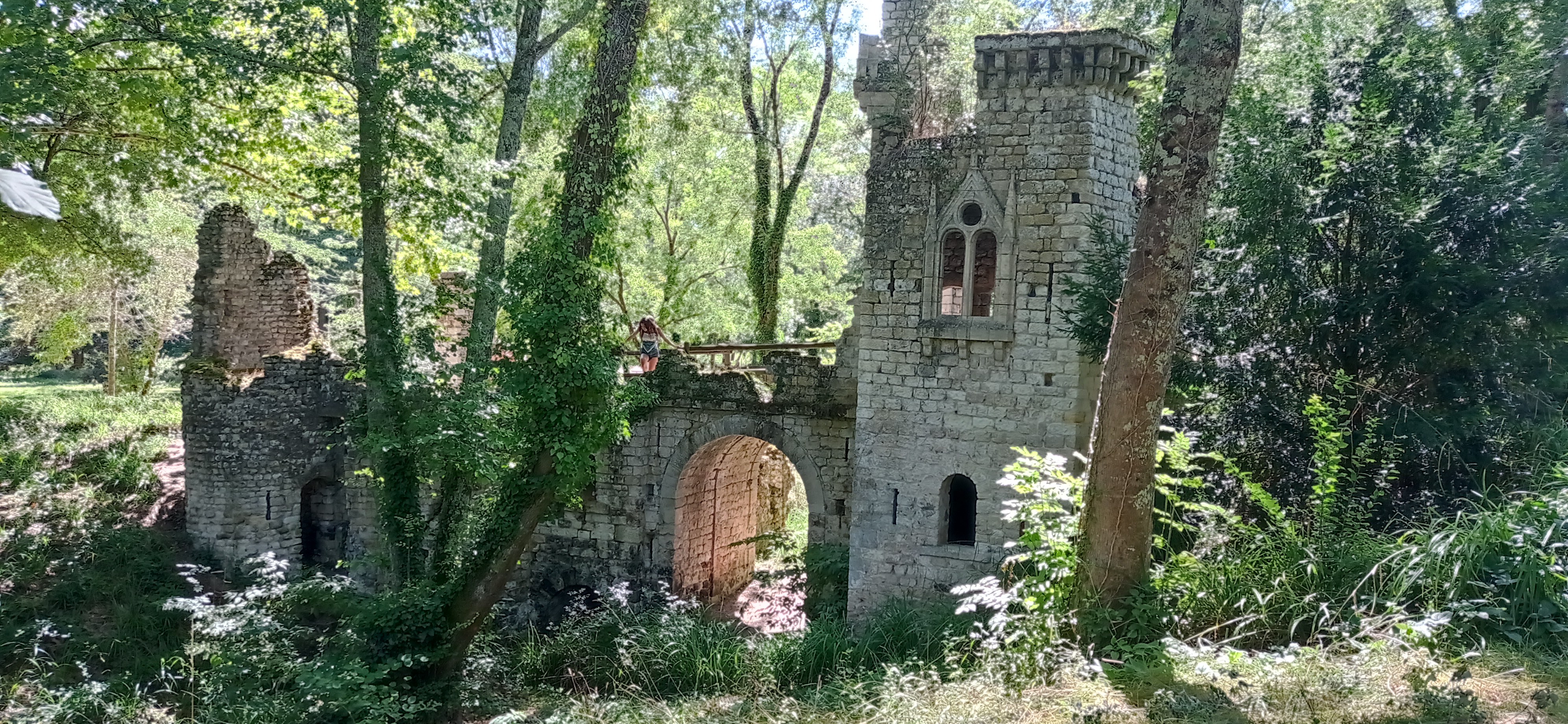 Photo n° 2 de l'avis de Gilles.i fait le 29/08/2023 à 13:53