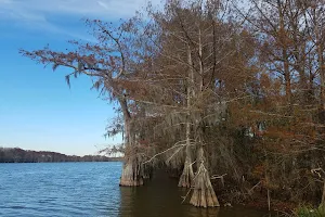 Spring Bayou State Wildlife Management Area image