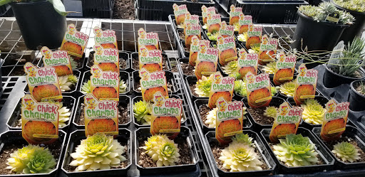 Florist «London Florist», reviews and photos, 196 W Center St, London, OH 43140, USA