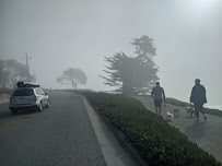 Wendy Vandegrift - Photo 2 - Car repair in Scotts Valley, CA, Santa Cruz