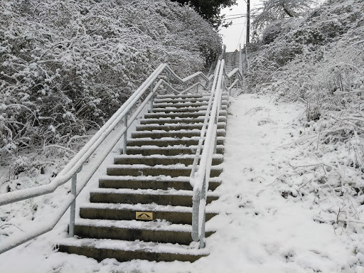 Park «Fremont Peak Park», reviews and photos, 4357 Palatine Ave N, Seattle, WA 98103, USA