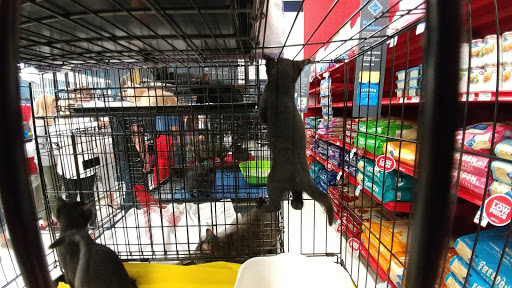 Pet Store «PetSmart», reviews and photos, 16001 Elmhurst Ln, Lakeville, MN 55044, USA