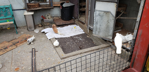 Auto Repair Shop «Galexy Auto Repair Inc», reviews and photos, 13113 Hillside Avenue, Jamaica, NY 11418, USA