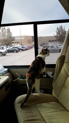 Discount Store «Walmart», reviews and photos, 4959 Main St, Spring Hill, TN 37174, USA