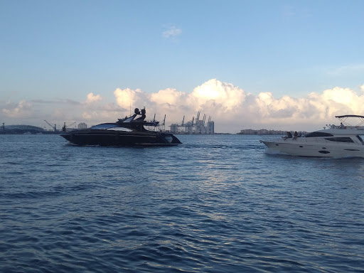 Park «Brickell Key Park», reviews and photos, Brickell Key Dr, Miami, FL 33131, USA