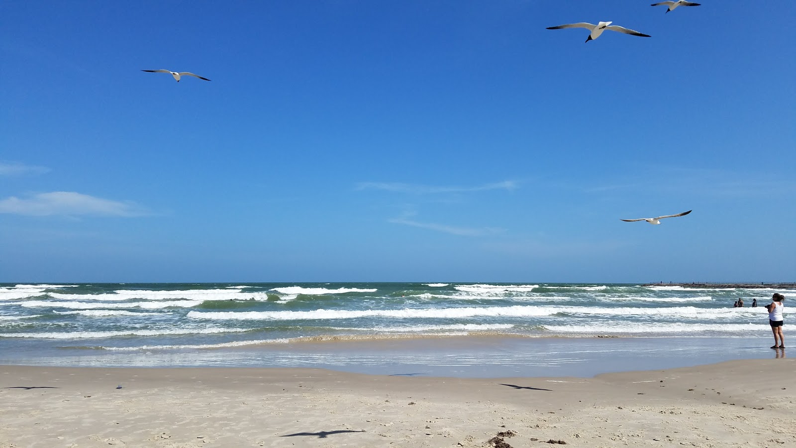 Fotografija JP Luby beach z visok stopnjo čistoče