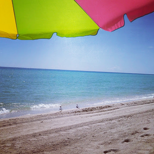 Park «North Shore Open Space Park», reviews and photos, 8328 Collins Ave, Miami Beach, FL 33141, USA