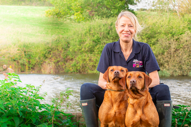 Reviews of We Love Pets Guildford - Dog Walker, Pet Sitter & Home Boarder in Woking - Dog trainer