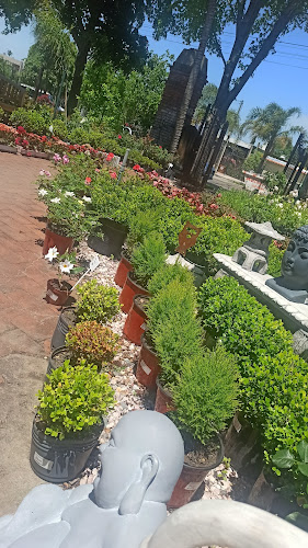 Vivero El Ceibo - Centro de jardinería