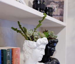 El Jardín Suculento photo