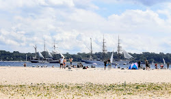 Foto de Falckenstein Beach - lugar popular entre os apreciadores de relaxamento