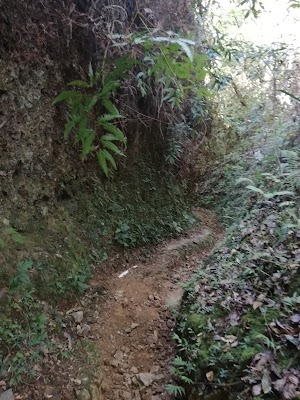 Sendero Nacional-Trail - photo 1