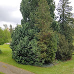 Photo n°34 de l'avis de Edgar.� fait le 23/04/2024 à 17:53 sur le  Maritim Hotel Bad Wildungen à Bad Wildungen