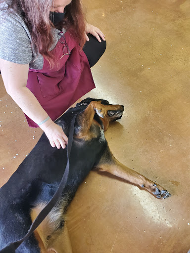 Pet Supply Store «Woodlands Pet Food & Treats», reviews and photos, 902 3rd St, San Rafael, CA 94901, USA