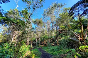 Makahi St Trailhead image