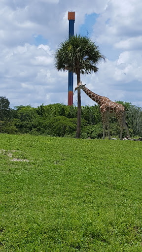Tourist Attraction «Busch Gardens Main Entrance», reviews and photos, 9449 N 40th St, Tampa, FL 33617, USA