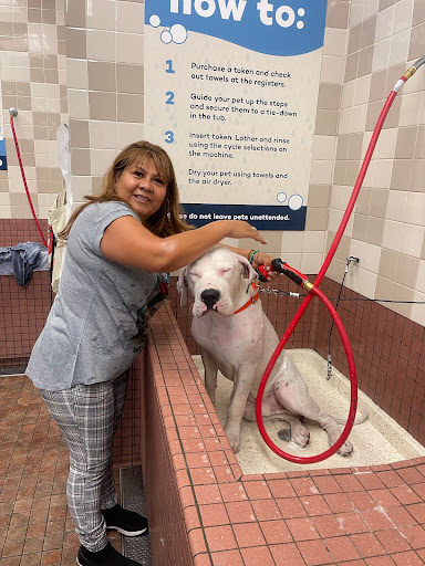 Pet Supply Store «Pet Food Express», reviews and photos, 265 Davis St, San Leandro, CA 94577, USA