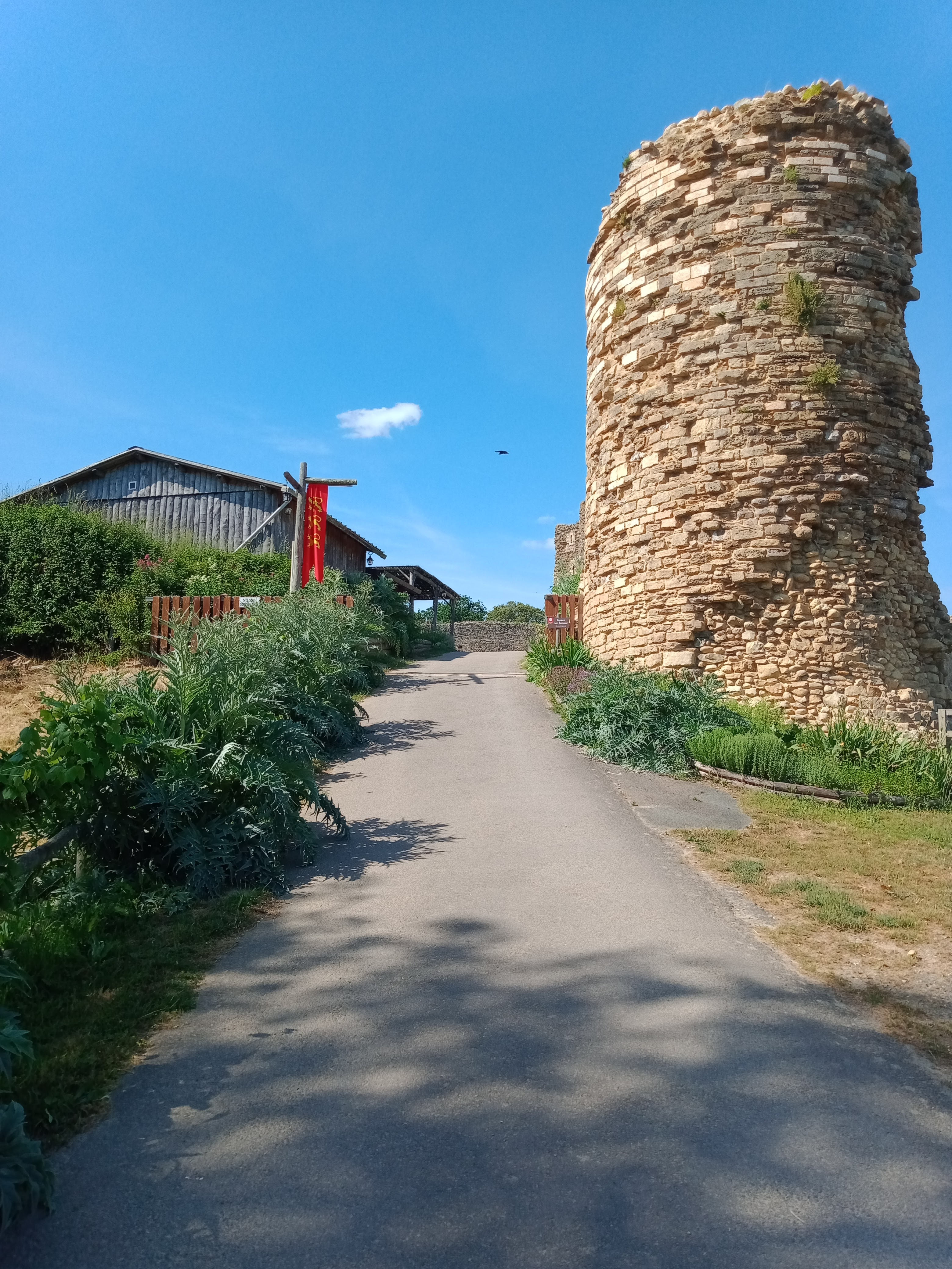 Photo n° 5 de l'avis de Thierry.e fait le 19/05/2022 à 19:09