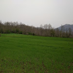 Photo n°2 de l'avis de Saro.a fait le 22/04/2019 à 19:58 sur le  Agriturismo Al Verneto à Laino Borgo