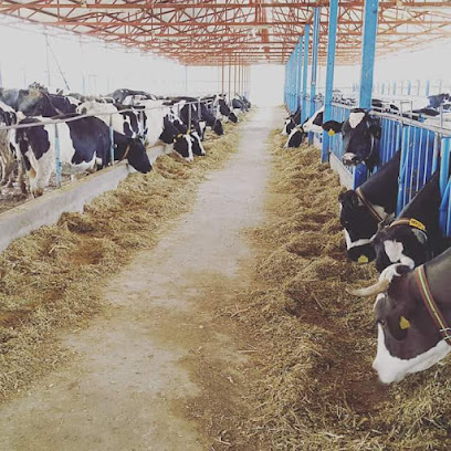 Lara ticaret süt ve besi çiftliği