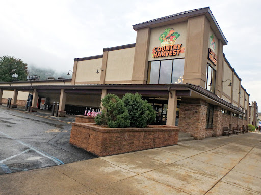 Grocery Store «Country Harvest Family Market», reviews and photos, 572 Delaware Ave, Palmerton, PA 18071, USA