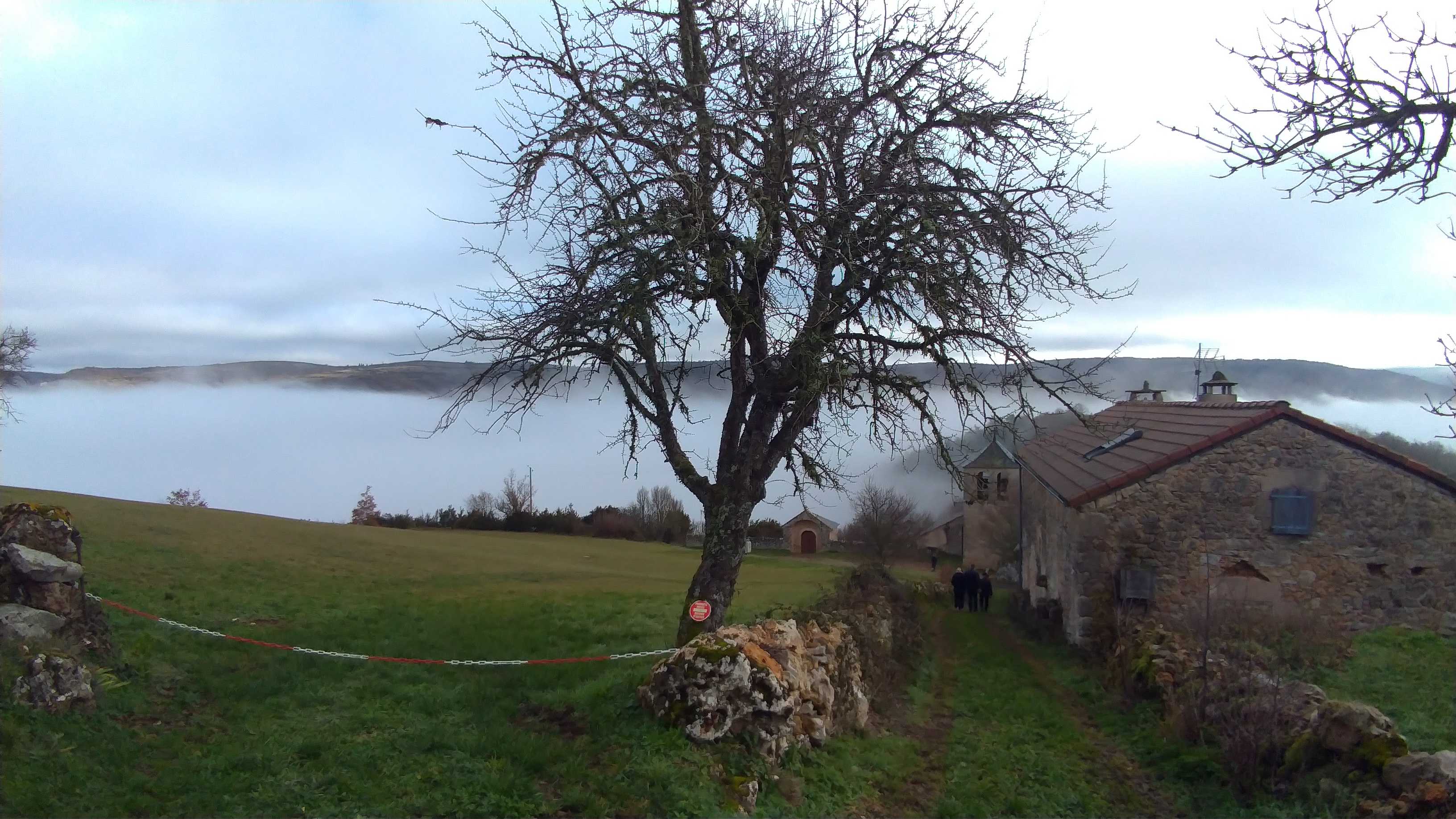 Photo n° 2 de l'avis de BERTRAND.1 fait le 31/12/2022 à 03:35