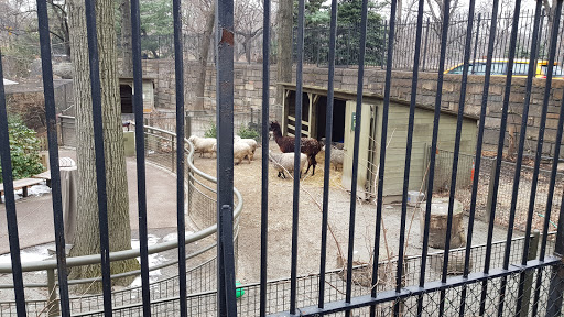 Zoo «Central Park Zoo», reviews and photos, E 64th St & 5th Ave, New York, NY 10021, USA
