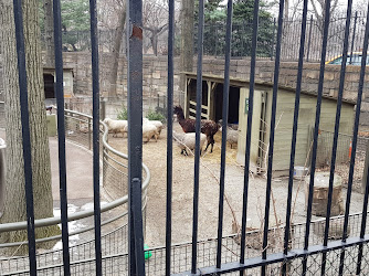 Central Park Zoo