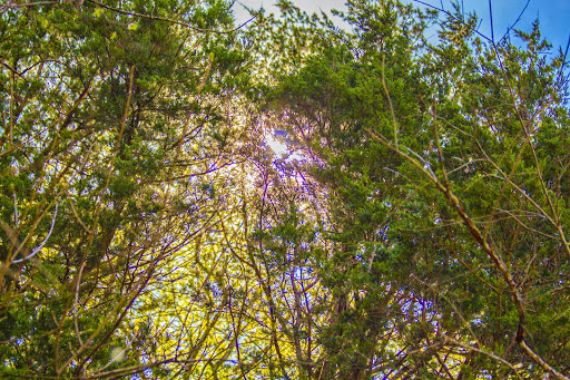 Park «Barfield Crescent Park», reviews and photos, 697 Veterans Pkwy, Murfreesboro, TN 37128, USA