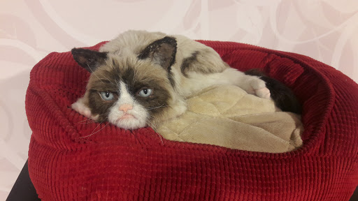 Wax Museum «Madame Tussauds», reviews and photos, 1001 F St NW, Washington, DC 20004, USA