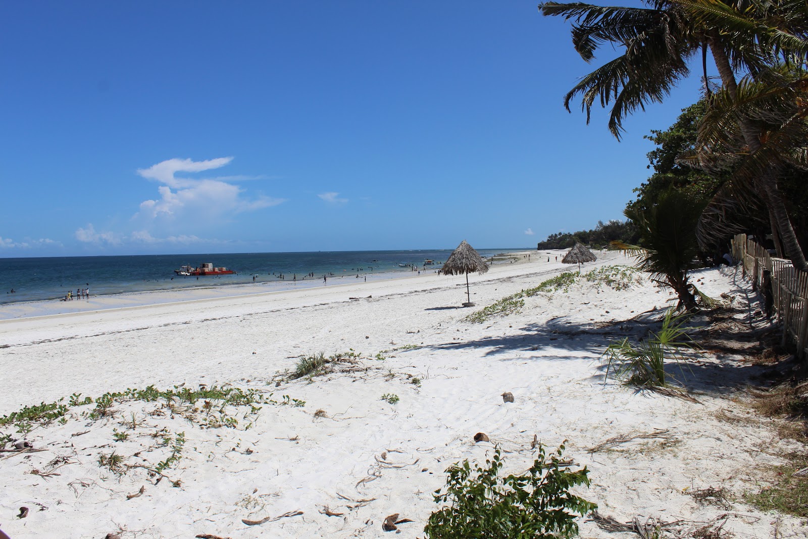 Fotografija Plaža Nyali (Mombasa) z svetel pesek površino