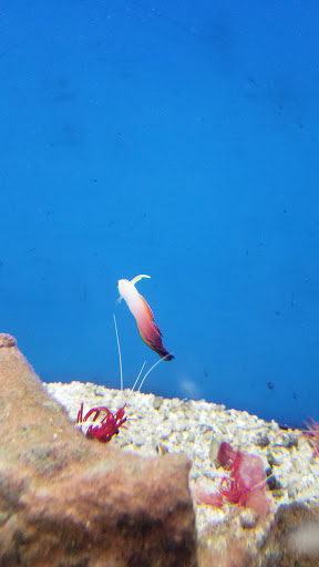 Pet Supply Store «Petco Animal Supplies», reviews and photos, 450 N Rte 17, Paramus, NJ 07652, USA