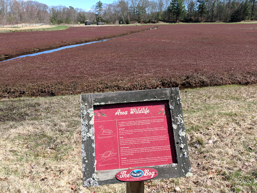 Nature Preserve «The Nature Trail and Cranberry Bog», reviews and photos, 252 Patriot Pl, Foxborough, MA 02035, USA