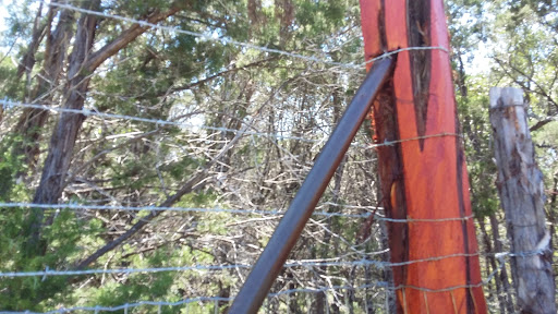 Tourist Attraction «Wimberley Zipline Adventures», reviews and photos, 300 Winn Valley Dr, Wimberley, TX 78676, USA