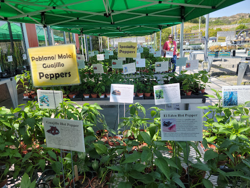 Grocery Store «Farm Store at Kellogg Ranch», reviews and photos, 4102 S University Dr, Pomona, CA 91768, USA