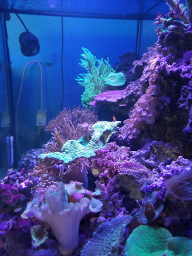 Pet Store «Birds & Beasts Pet Shop», reviews and photos, 35 Berkshire Dr # 18, Crystal Lake, IL 60014, USA